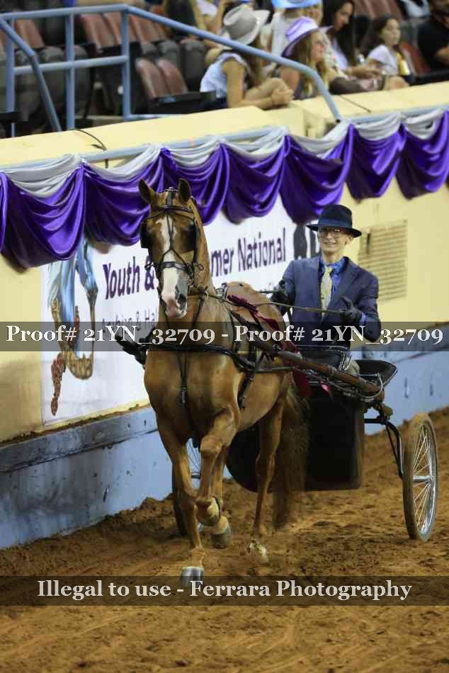 Proof 21YN_32709