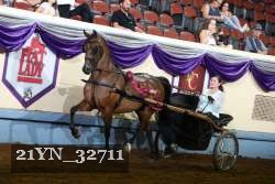21YN_32711 proof