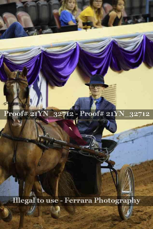 Proof 21YN_32712