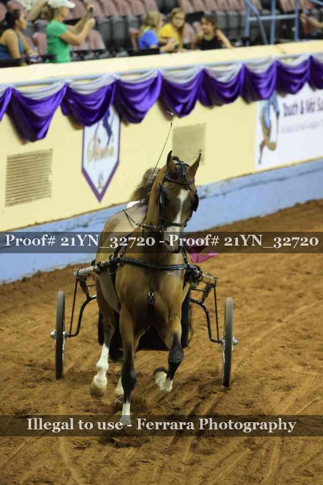 Proof 21YN_32720