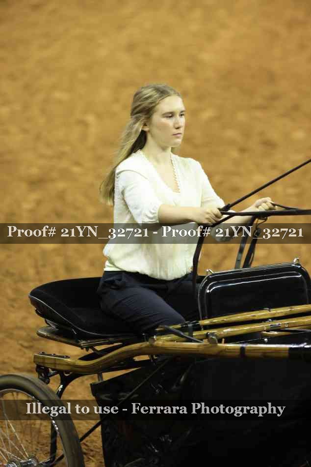 Proof 21YN_32721