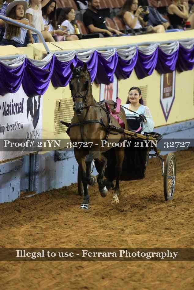 Proof 21YN_32727