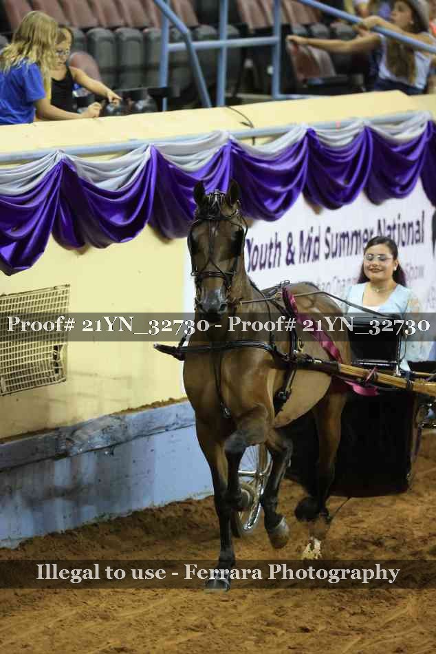 Proof 21YN_32730