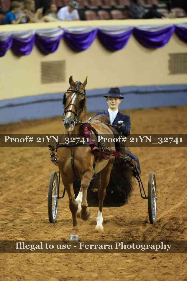 Proof 21YN_32741