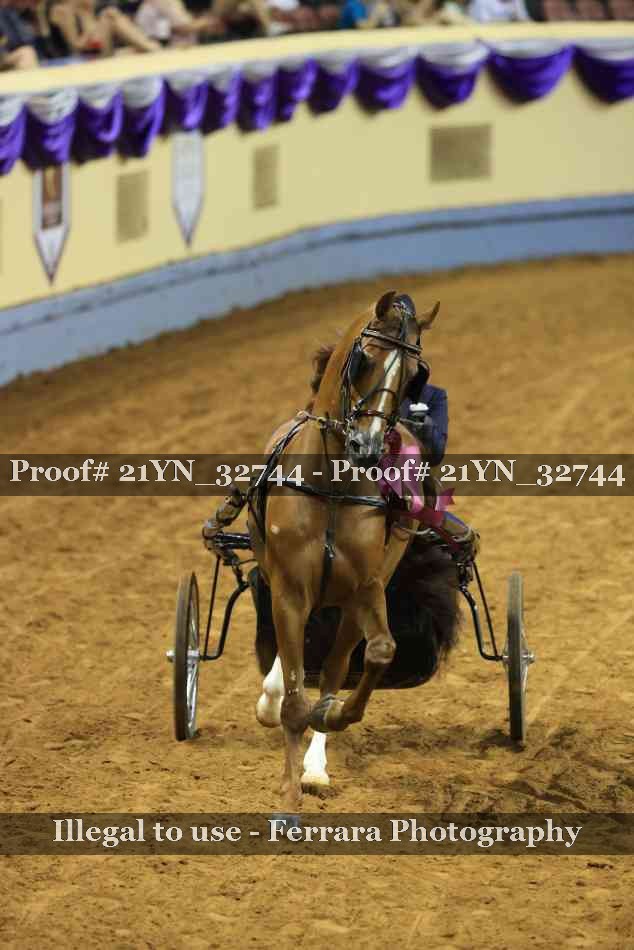 Proof 21YN_32744
