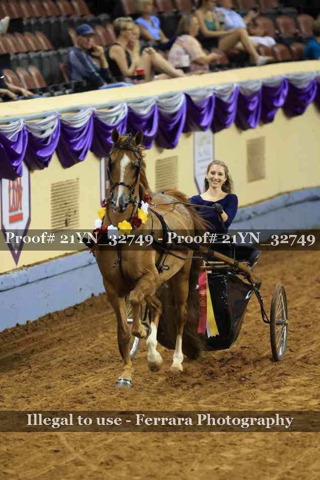 Proof 21YN_32749