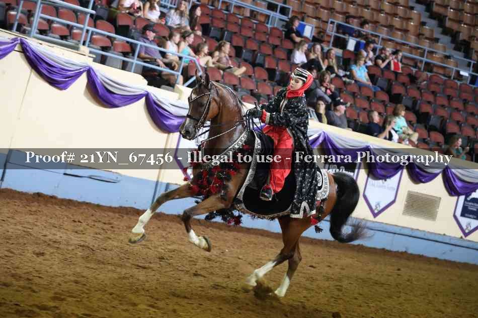 Proof 21YN_67456