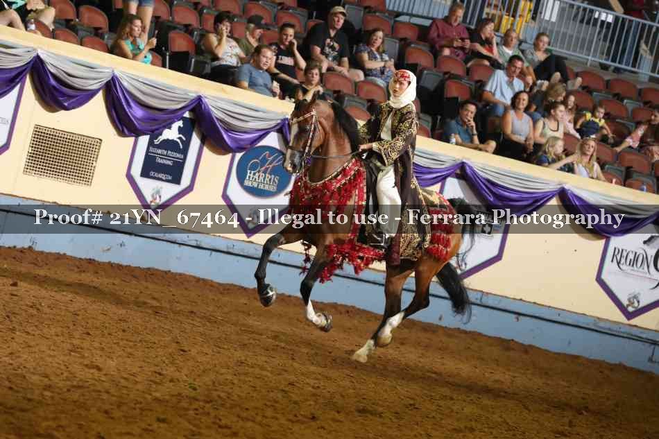Proof 21YN_67464
