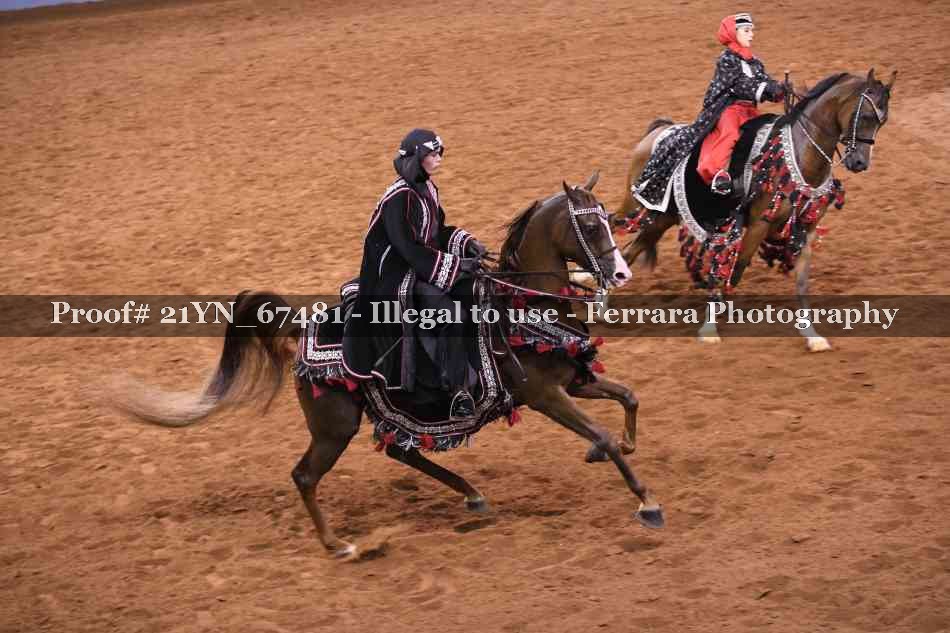 Proof 21YN_67481