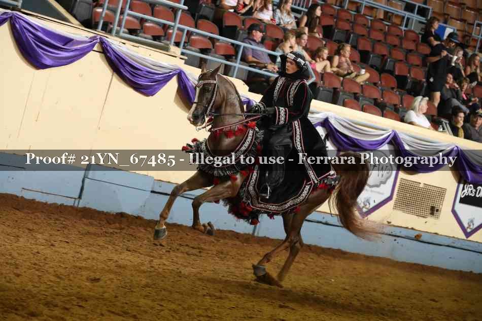 Proof 21YN_67485