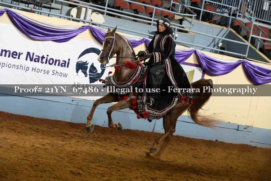 Proof 21YN_67486