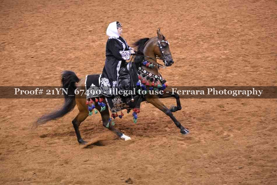 Proof 21YN_67490