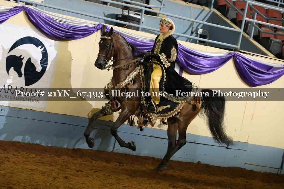 Proof 21YN_67493