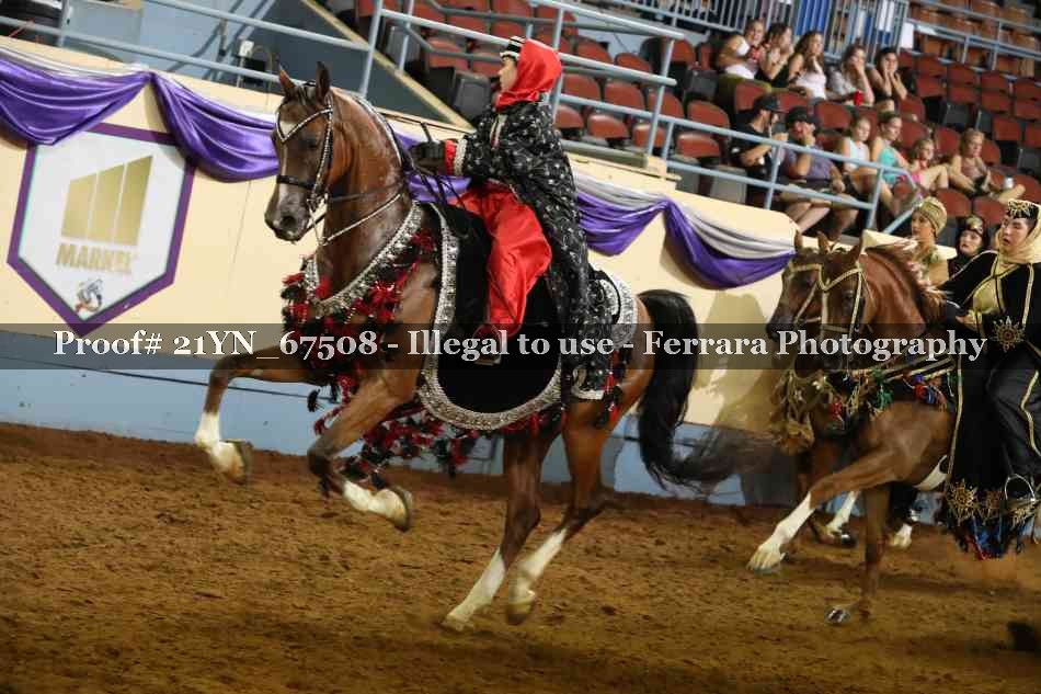 Proof 21YN_67508