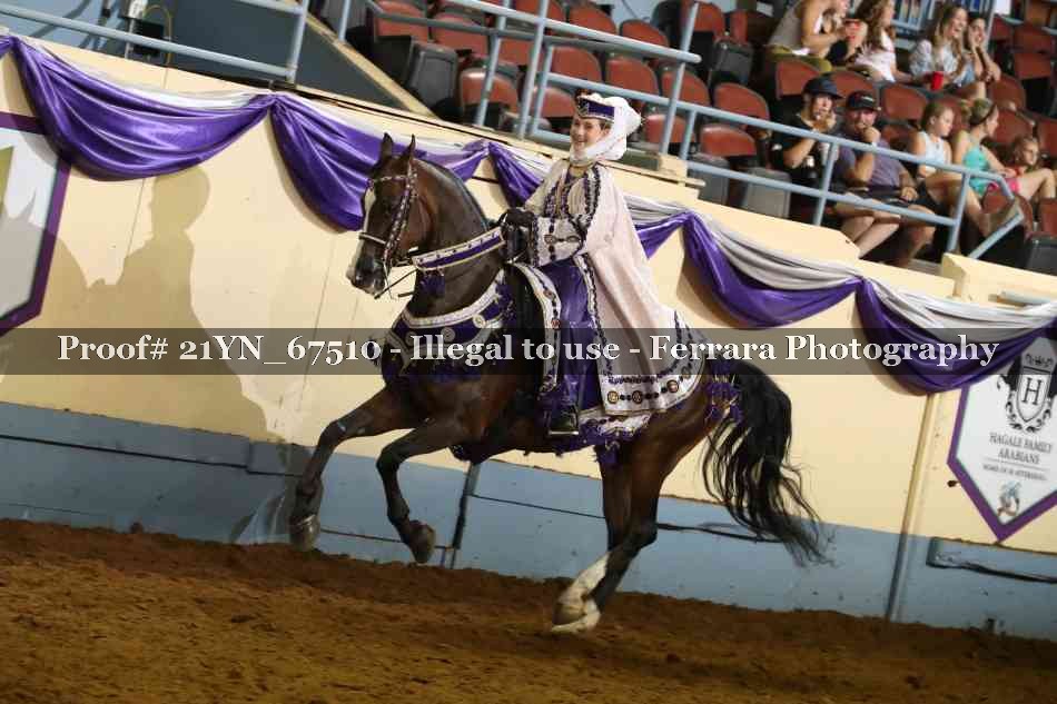Proof 21YN_67510