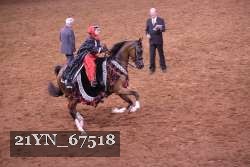 21YN_67518 proof