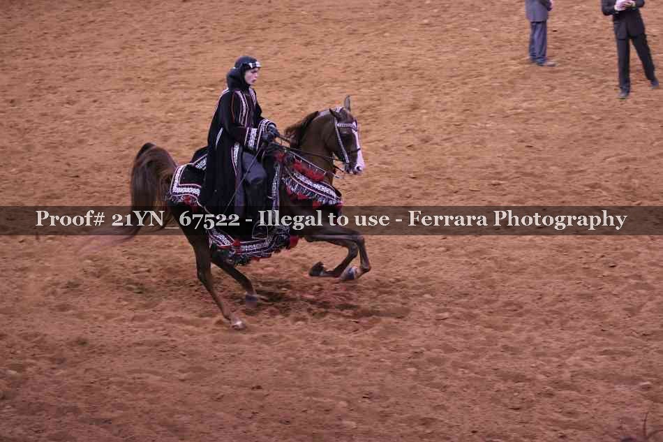 Proof 21YN_67522