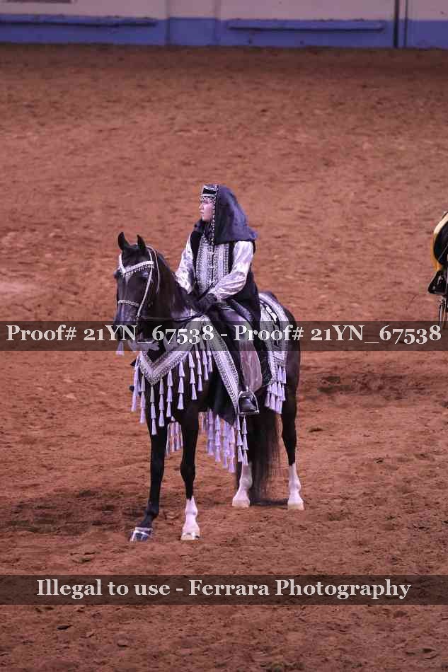 Proof 21YN_67538
