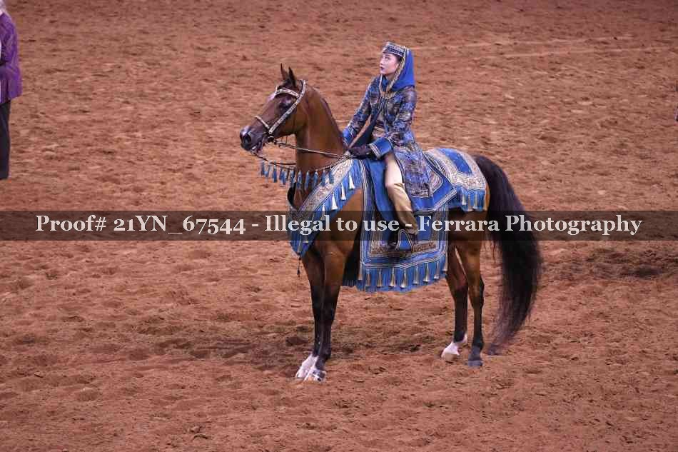 Proof 21YN_67544