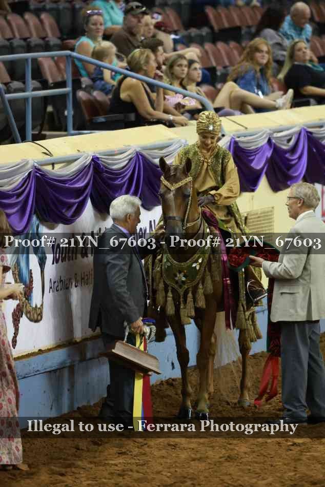 Proof 21YN_67603