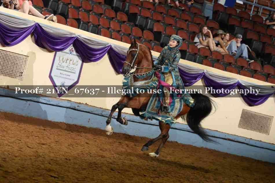 Proof 21YN_67637