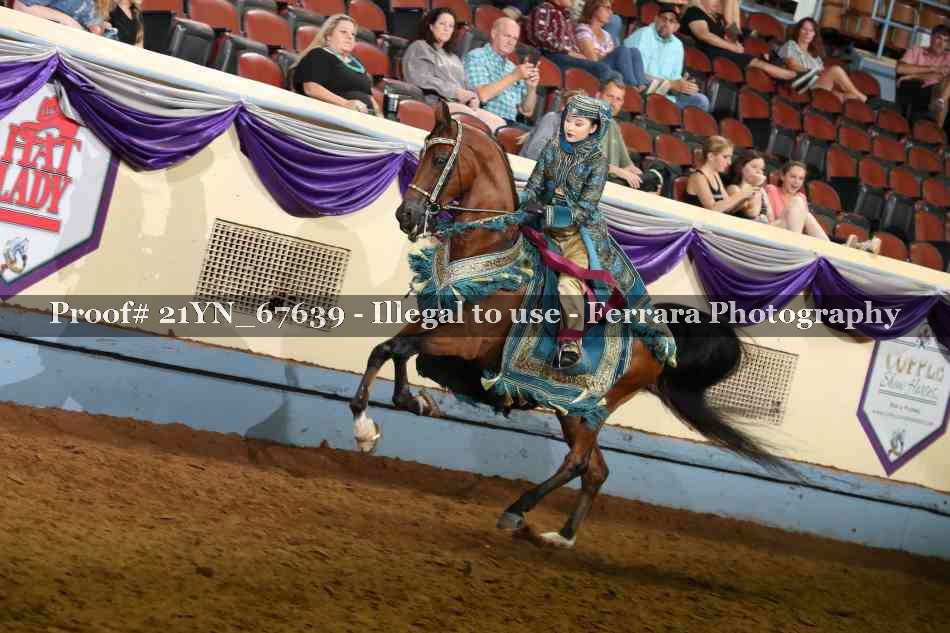 Proof 21YN_67639
