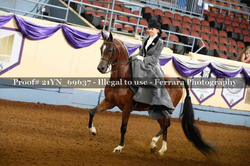 Proof 21YN_69637
