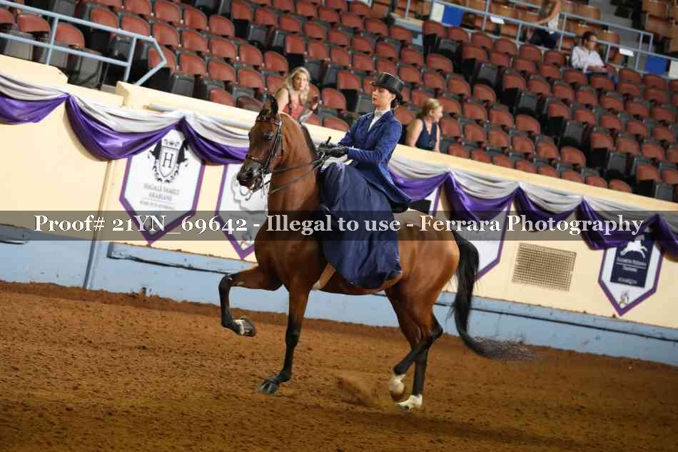 Proof 21YN_69642