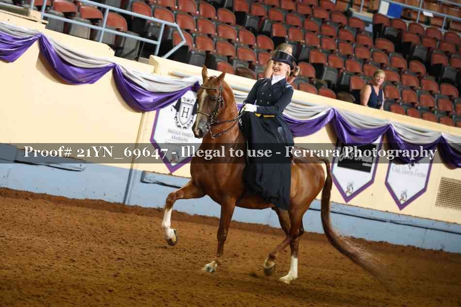 Proof 21YN_69647