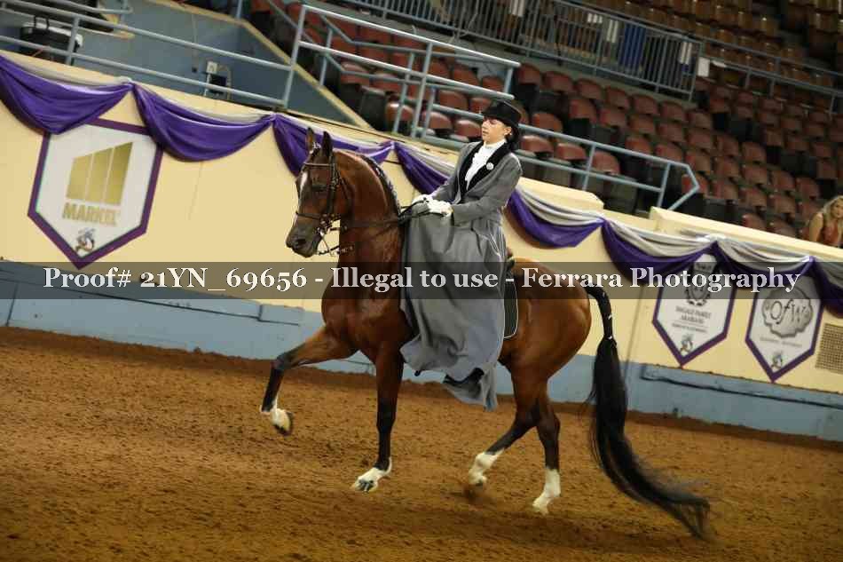 Proof 21YN_69656