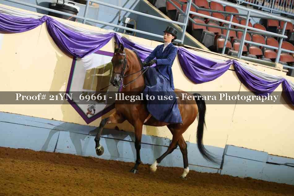 Proof 21YN_69661