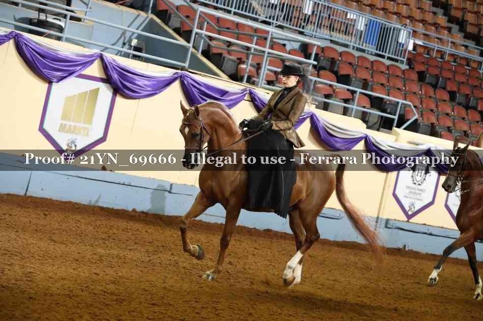 Proof 21YN_69666