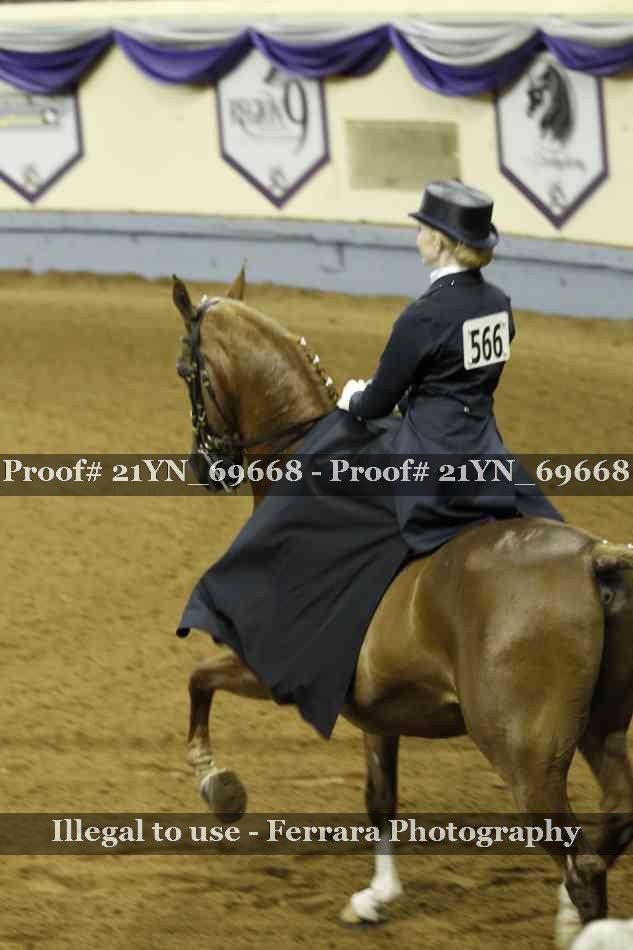 Proof 21YN_69668