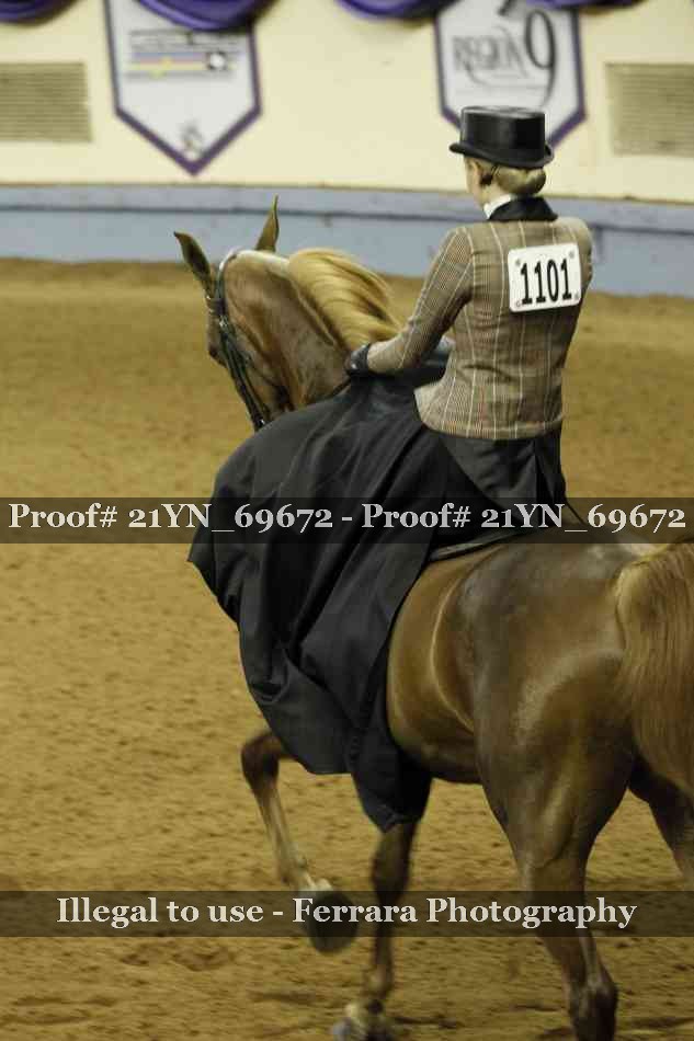 Proof 21YN_69672