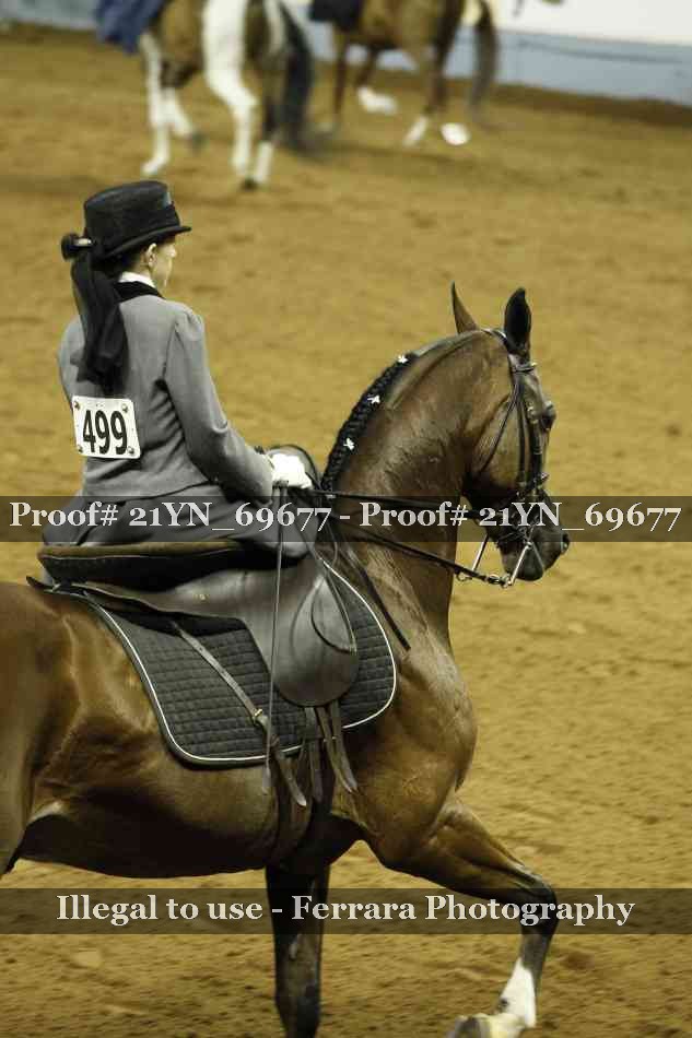 Proof 21YN_69677