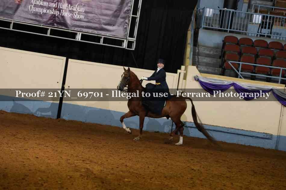 Proof 21YN_69701