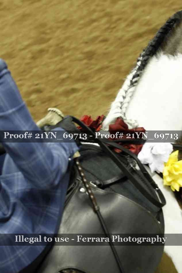 Proof 21YN_69713