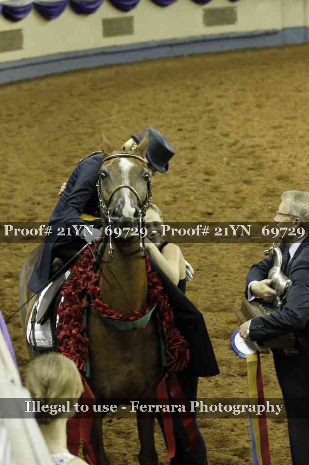 Proof 21YN_69729