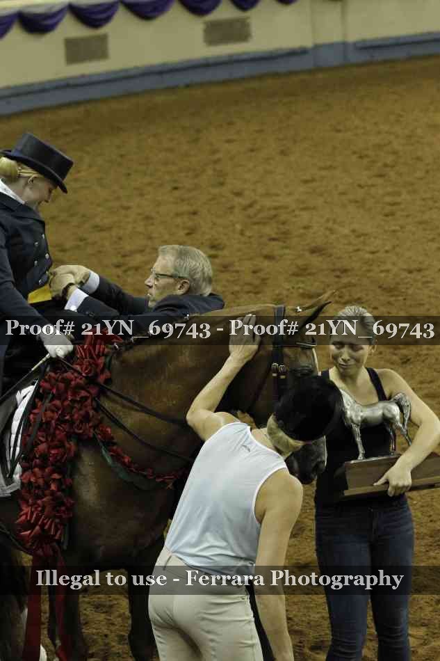 Proof 21YN_69743