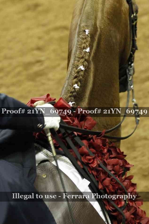 Proof 21YN_69749