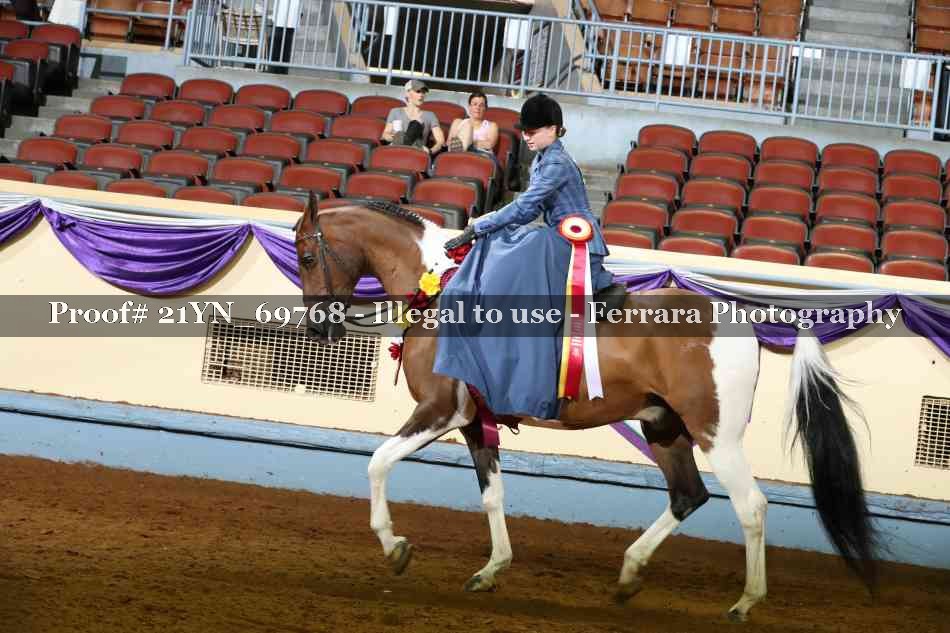 Proof 21YN_69768