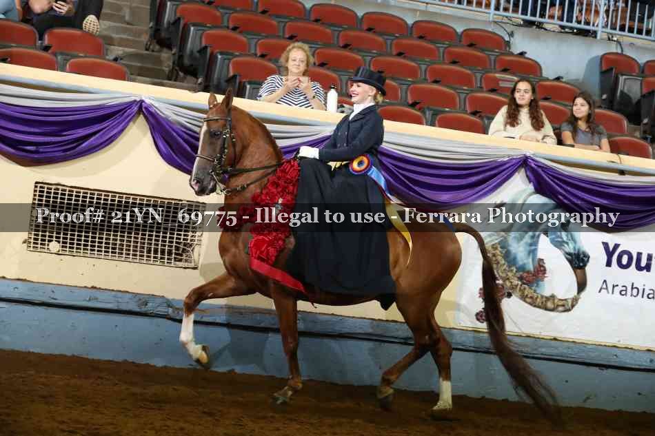 Proof 21YN_69775