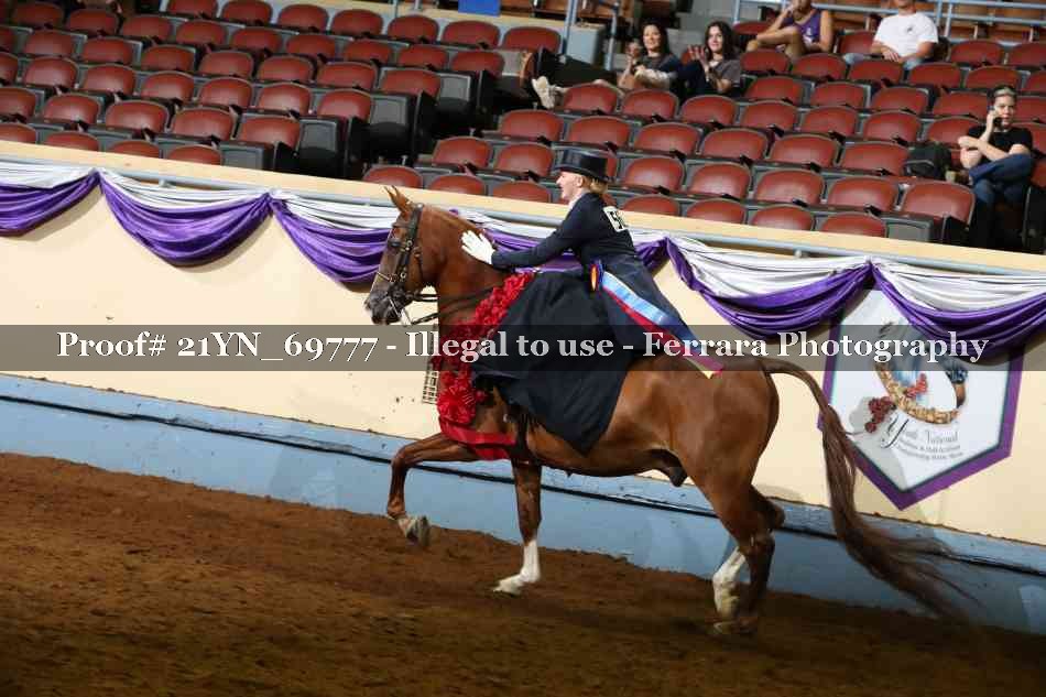 Proof 21YN_69777