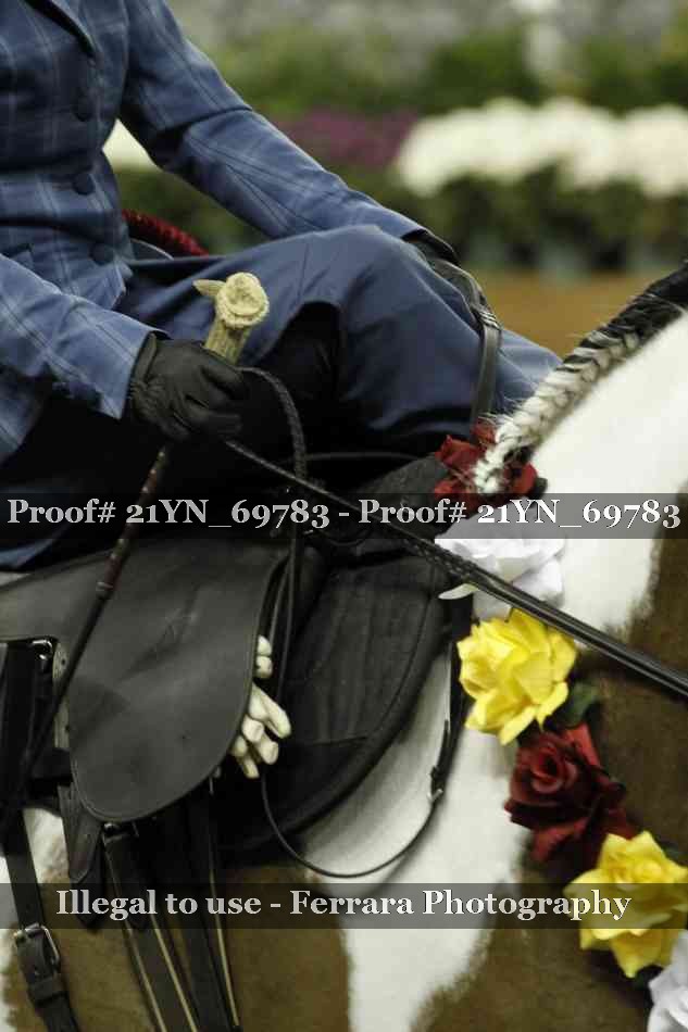 Proof 21YN_69783