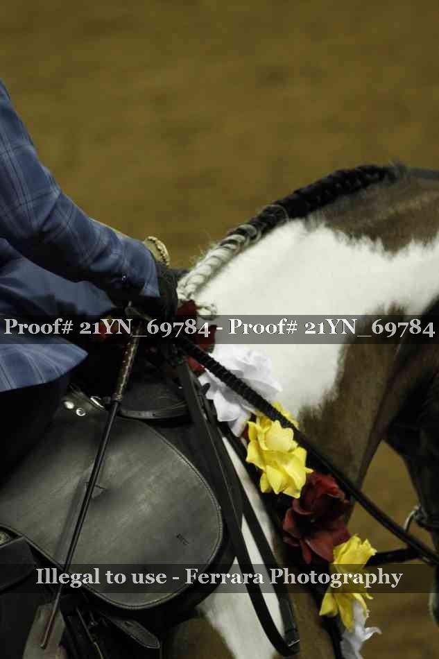 Proof 21YN_69784