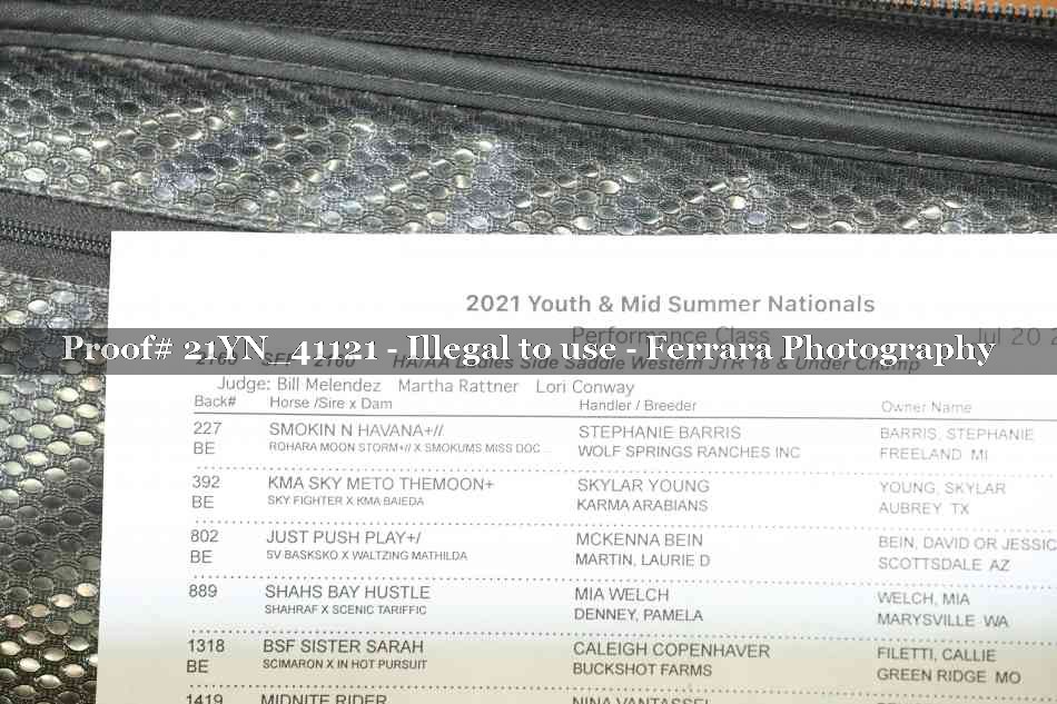 Proof 21YN_41121