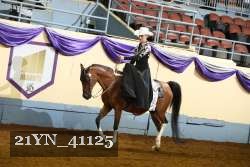 21YN_41125 proof