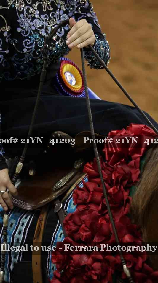 Proof 21YN_41203