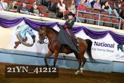 21YN_41212 proof