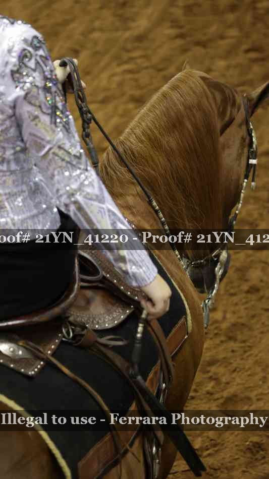Proof 21YN_41220